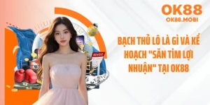 Bạch Thủ Lô Là Gì Và Kế Hoạch "Săn Tìm Lợi Nhuận" Tại OK88