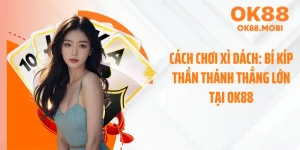 Cách Chơi Xì Dách: Bí Kíp Thần Thánh Thắng Lớn Tại OK88