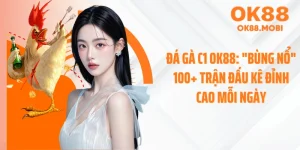 Đá gà C1 OK88: "Bùng Nổ" 100+ Trận Đấu Kê Đỉnh Cao Mỗi Ngày