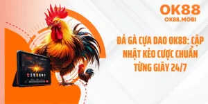 Đá Gà Cựa Dao OK88: Cập Nhật Kèo Cược Chuẩn Từng Giây 24/7