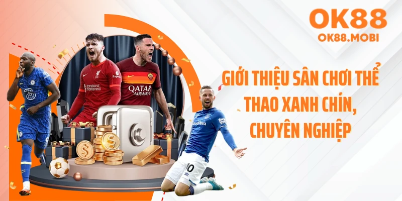 Giới thiệu sân chơi thể thao xanh chín, chuyên nghiệp
