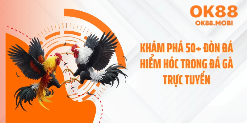 Khám phá 50+ đòn đá hiểm hóc trong đá gà trực tuyến