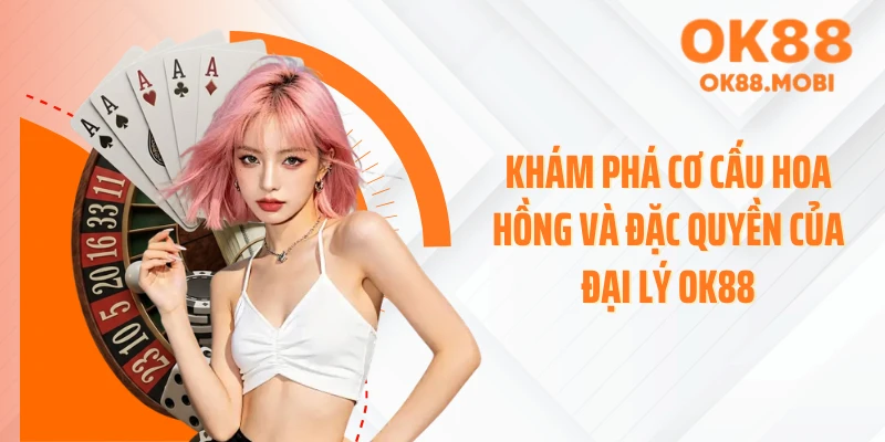 Khám phá cơ cấu hoa hồng và đặc quyền của đại lý OK88