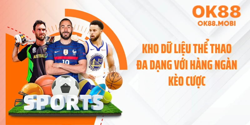 Kho dữ liệu thể thao đa dạng với hàng ngàn kèo cược