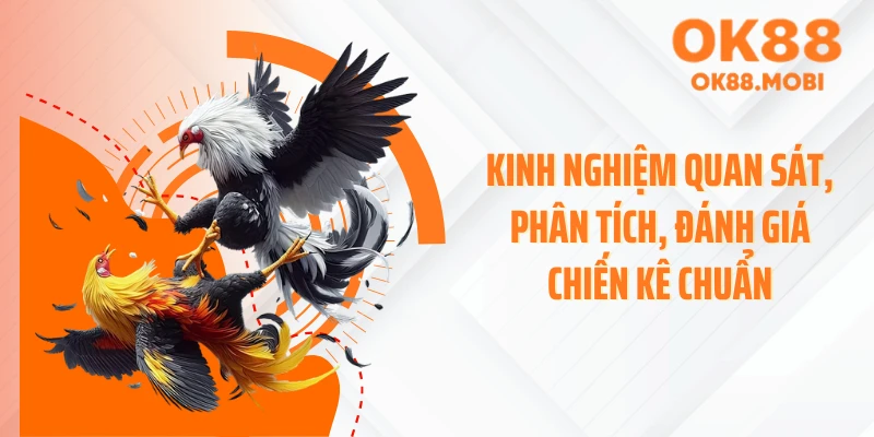 Kinh nghiệm quan sát, phân tích, đánh giá chiến kê chuẩn