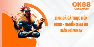 Link Đá Gà Trực Tiếp OK88 - Nguồn Xem An Toàn Hôm Nay
