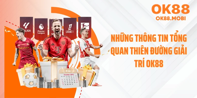 Những thông tin tổng quan thiên đường giải trí OK88