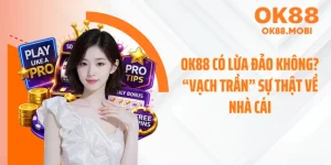 OK88 Có Lừa Đảo Không? “Vạch Trần” Sự Thật Về Nhà Cái